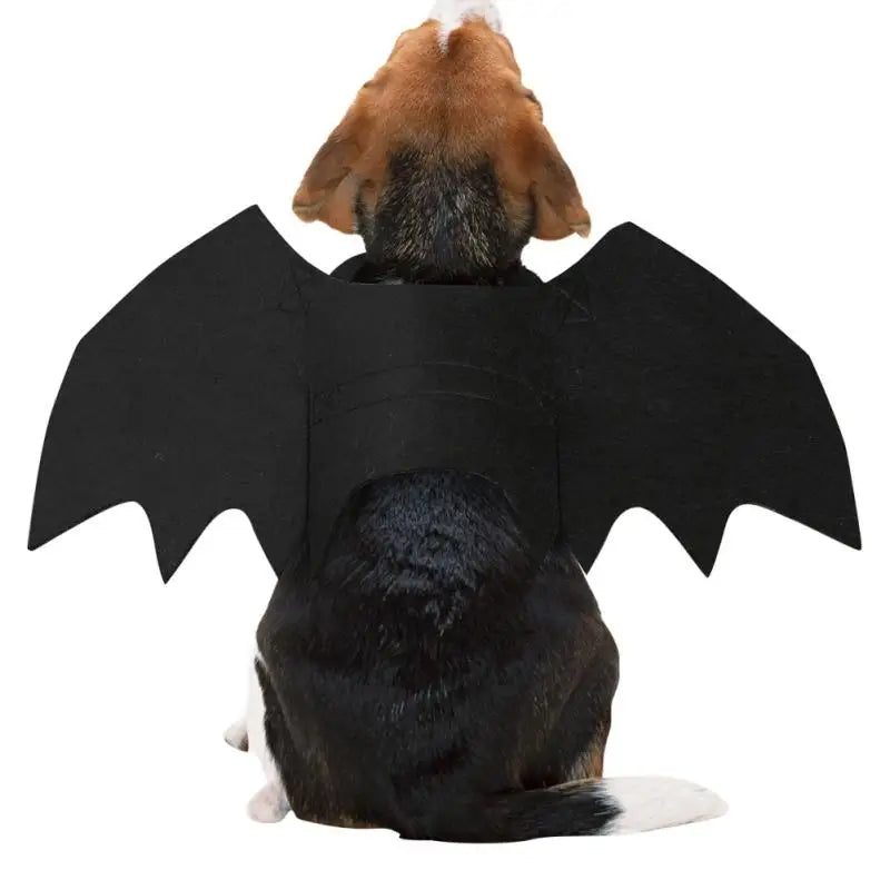 Cute Halloween Small Dogs Cat Costume Vampire Small Pet Cat Bat Wings Halloween Cat Wings Accessories Halloween Decorations