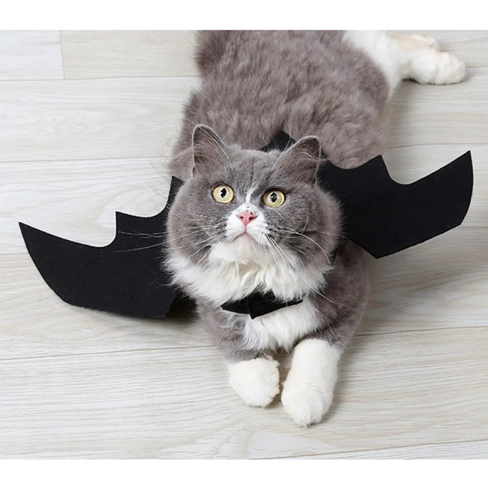 Cute Halloween Small Dogs Cat Costume Vampire Small Pet Cat Bat Wings Halloween Cat Wings Accessories Halloween Decorations