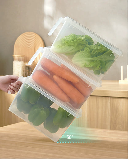 Vegetable Organize Fantastic Frozen Special Refrigerator Storage Box