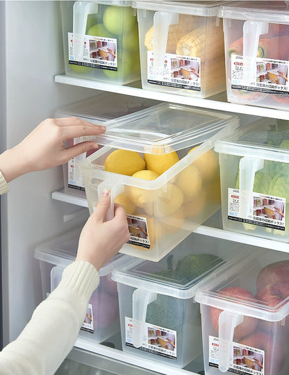 Vegetable Organize Fantastic Frozen Special Refrigerator Storage Box