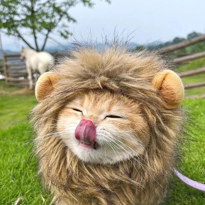 Cat Cosplay Dress Up Pet Hat Lion Mane for Cat Puppy Lion Wig Costume Party Decoration Halloween Christmas GatosPet Supplies