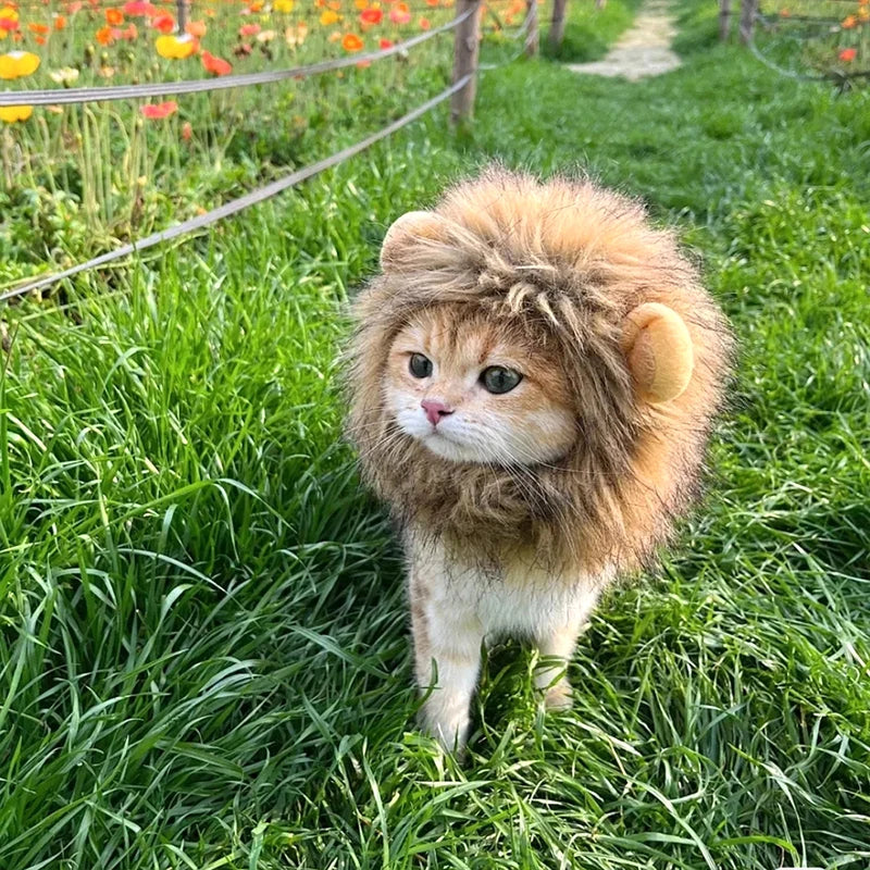 Cat Cosplay Dress Up Pet Hat Lion Mane for Cat Puppy Lion Wig Costume Party Decoration Halloween Christmas GatosPet Supplies