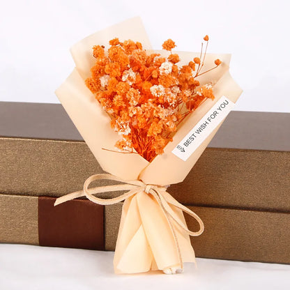 Mini Natural Gypsophil Dried Flowers  Arrangement Car Bouquet Gift Box Filling Decoration Home Party Wedding Little Present