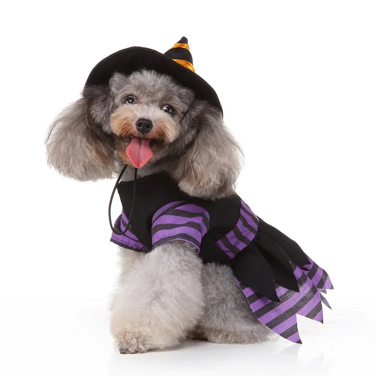 Cute Dog Purple Dress For Small Dogs 2pc Dropshipping Pet Cosplay Stripes With Hat Cat Clothes Holloween Costume Witch Gown