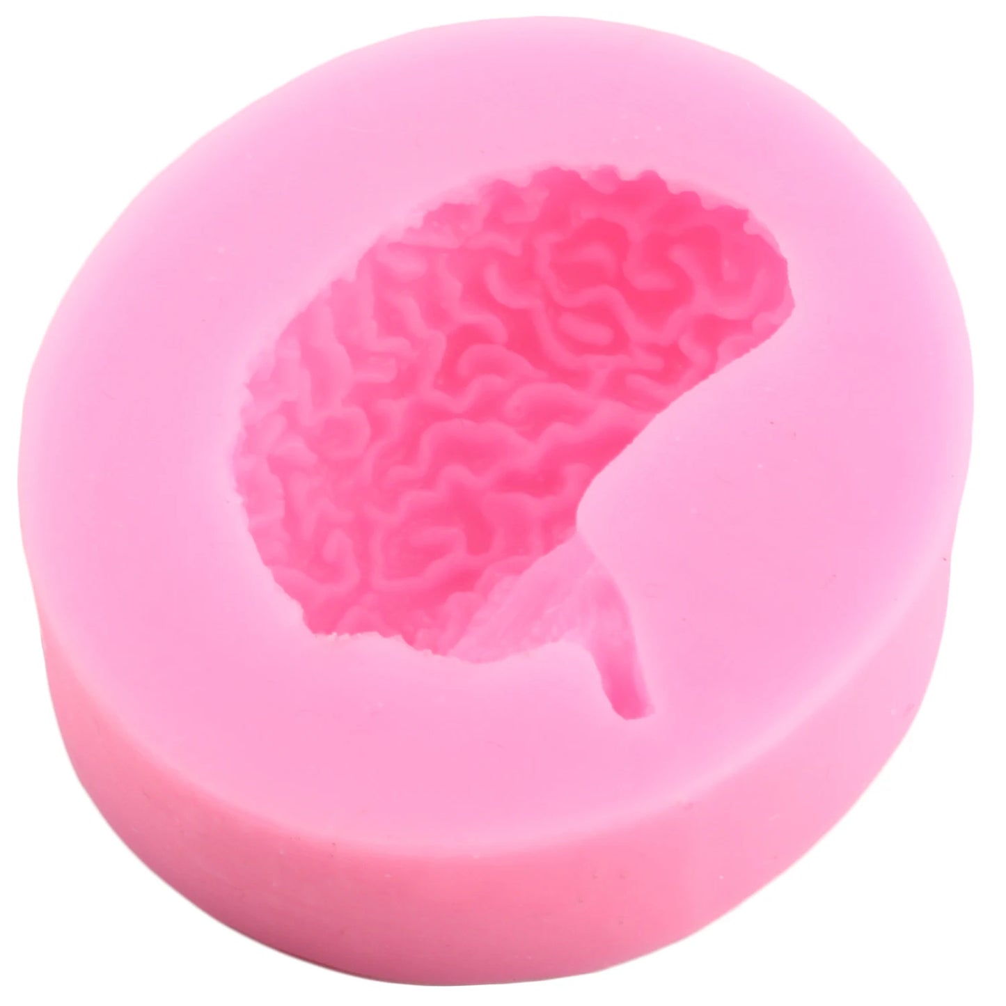 Human Organs Silicone Molds Heart Liver Stomach Kidney Brain Fondant Mold DIY Chocolate Candy Halloween Cake Decorating Tools