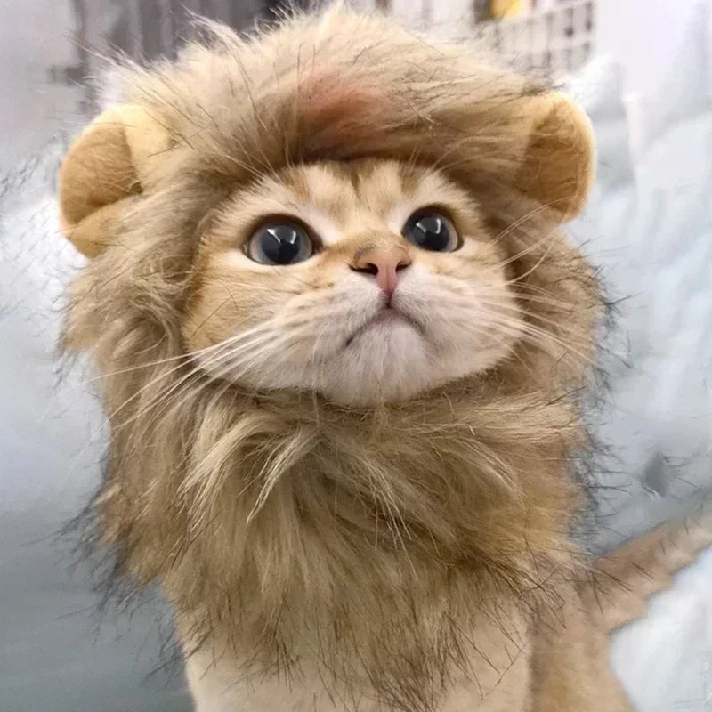 Cat Cosplay Dress Up Pet Hat Lion Mane for Cat Puppy Lion Wig Costume Party Decoration Halloween Christmas GatosPet Supplies