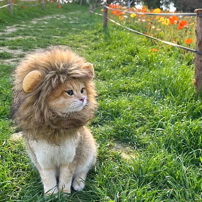 Cat Cosplay Dress Up Pet Hat Lion Mane for Cat Puppy Lion Wig Costume Party Decoration Halloween Christmas GatosPet Supplies