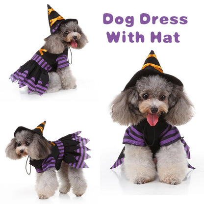 Cute Dog Purple Dress For Small Dogs 2pc Dropshipping Pet Cosplay Stripes With Hat Cat Clothes Holloween Costume Witch Gown