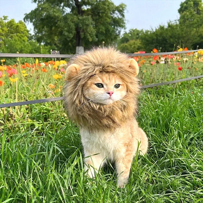 Cat Cosplay Dress Up Pet Hat Lion Mane for Cat Puppy Lion Wig Costume Party Decoration Halloween Christmas GatosPet Supplies