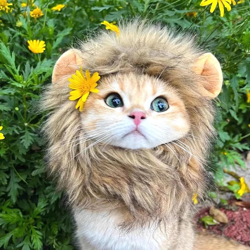 Cat Cosplay Dress Up Pet Hat Lion Mane for Cat Puppy Lion Wig Costume Party Decoration Halloween Christmas GatosPet Supplies