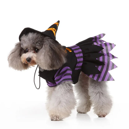 Cute Dog Purple Dress For Small Dogs 2pc Dropshipping Pet Cosplay Stripes With Hat Cat Clothes Holloween Costume Witch Gown