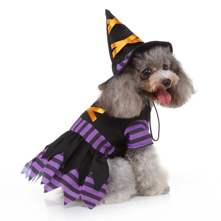 Cute Dog Purple Dress For Small Dogs 2pc Dropshipping Pet Cosplay Stripes With Hat Cat Clothes Holloween Costume Witch Gown