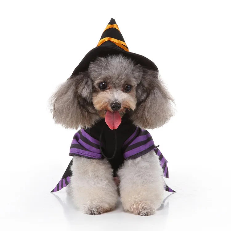 Cute Dog Purple Dress For Small Dogs 2pc Dropshipping Pet Cosplay Stripes With Hat Cat Clothes Holloween Costume Witch Gown