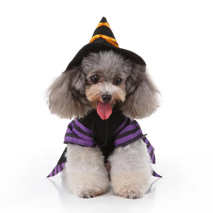 Cute Dog Purple Dress For Small Dogs 2pc Dropshipping Pet Cosplay Stripes With Hat Cat Clothes Holloween Costume Witch Gown