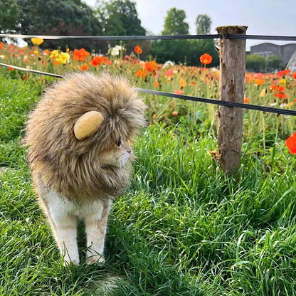 Cat Cosplay Dress Up Pet Hat Lion Mane for Cat Puppy Lion Wig Costume Party Decoration Halloween Christmas GatosPet Supplies