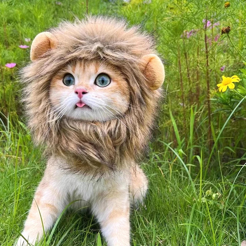 Cat Cosplay Dress Up Pet Hat Lion Mane for Cat Puppy Lion Wig Costume Party Decoration Halloween Christmas GatosPet Supplies