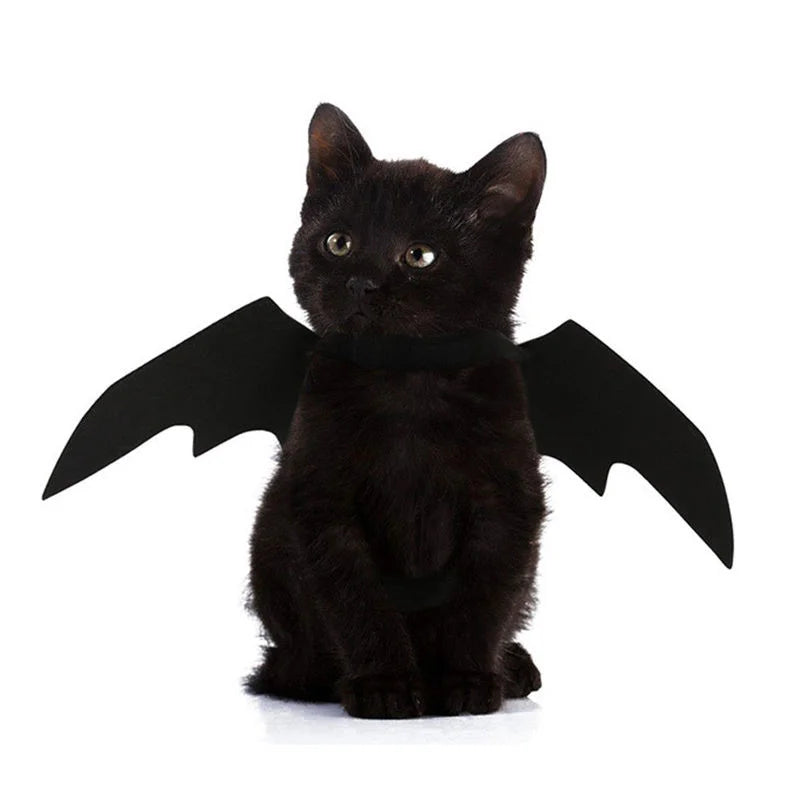 Cute Halloween Small Dogs Cat Costume Vampire Small Pet Cat Bat Wings Halloween Cat Wings Accessories Halloween Decorations