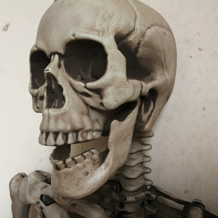 Room Escape Stage Performance Skull Skeleton Haunted House